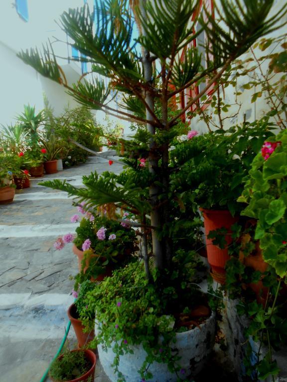 Angeliki Pension Катапола Екстериор снимка